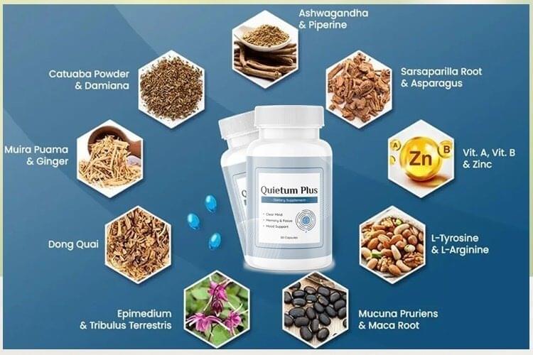 quietum plus ingredients